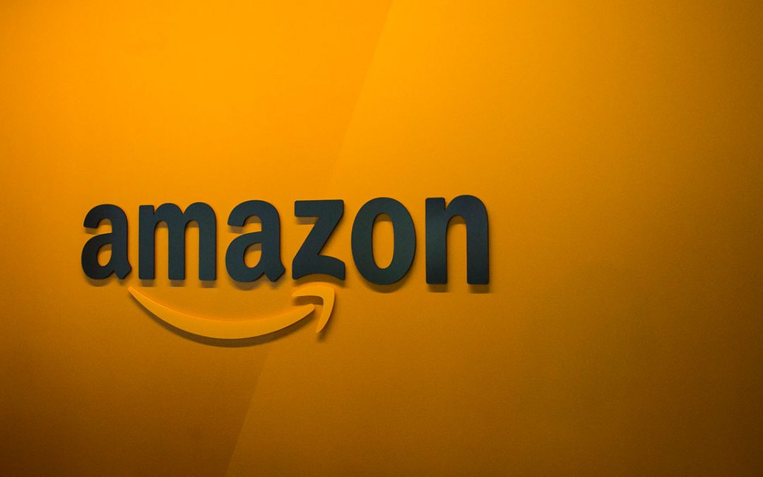Amazon To Give Xmas A Miss, 2018 Launch Tipped