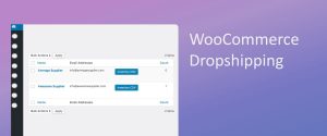 Woocommerce Dropshipping plugin