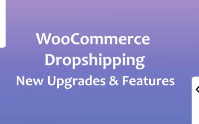 Dropshipping and WooCommerce Plugin Update – Introducing Version 4.3
